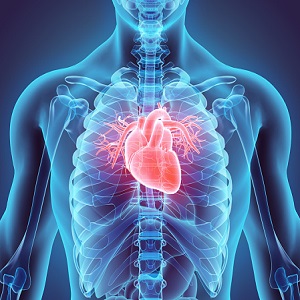 Heart Transplant- Meditrina hospital(Best multispeciality hospital in Nagpur)