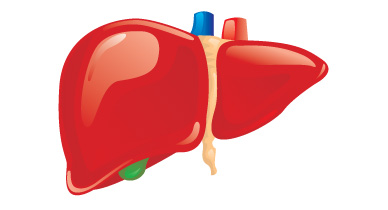 Liver Transplant- Meditrina Hospital(best multispeciality hospital in nagpur)